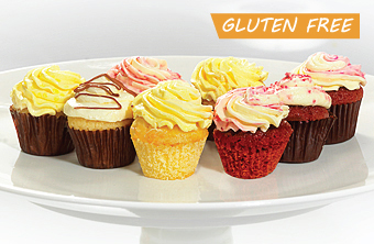 Gluten Free - Cocktail Cup Cakes (Modified)